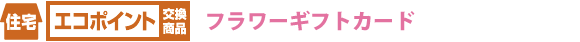 �Z��G�R�|�C���g�������i�@�t�����[�M�t�g�J�[�h